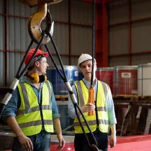 Testing & Inspection Cranes and Hoists NEW TONNE